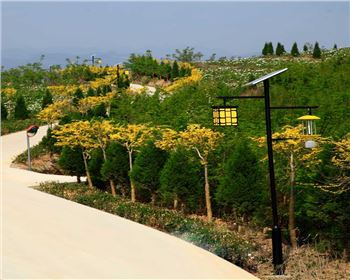 寧夏省隴南市文縣太陽(yáng)能殺蟲燈項(xiàng)目